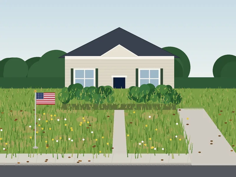 A front yard before service: overgrown grass and shaggy shrubs